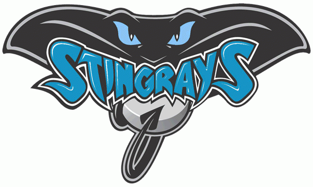 Hull Stingrays 2006-2015 Primary Logo iron on heat transfer